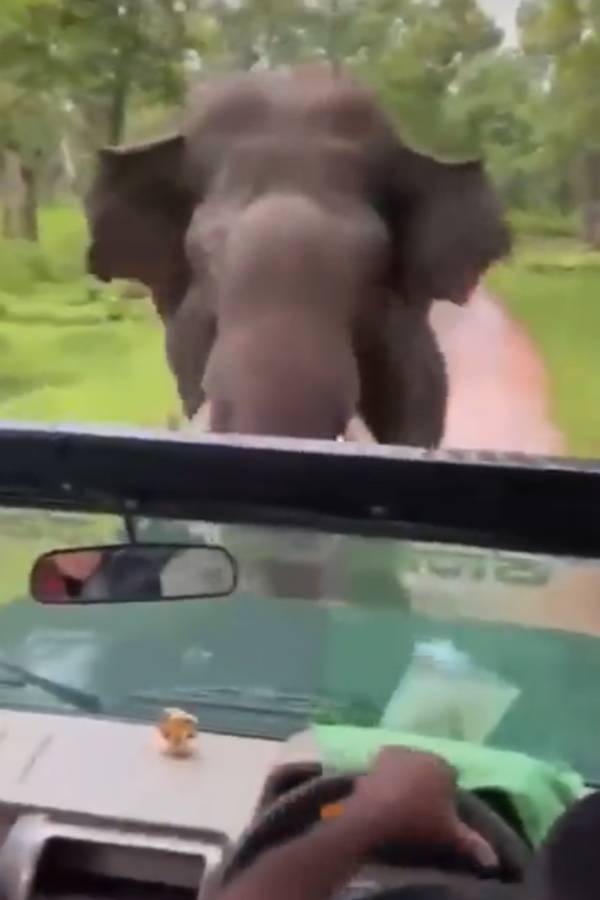 எத்தனை முறை கூறினாலும் பயனில்லை எத்தனை முறை கூறினாலும் பயனில்லை