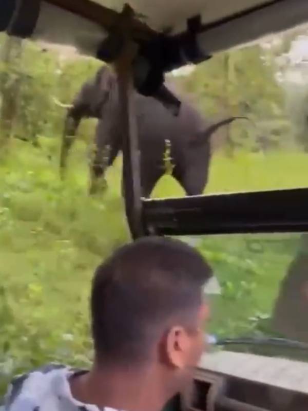வீடியோ வைரல் வீடியோ வைரல்