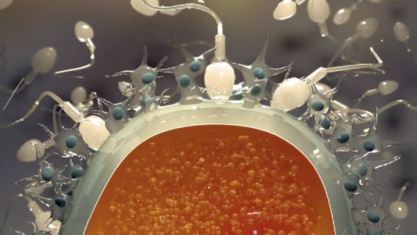 பிணைப்பு பிணைப்பு