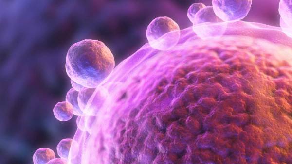 புரதம் புரதம்