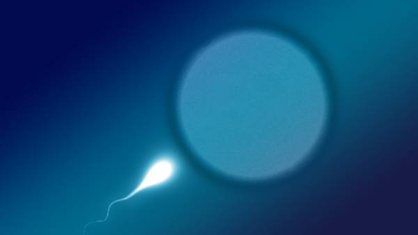 ஏன் முக்கியம் ஏன் முக்கியம்