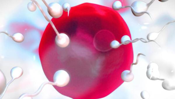 மியா மியா