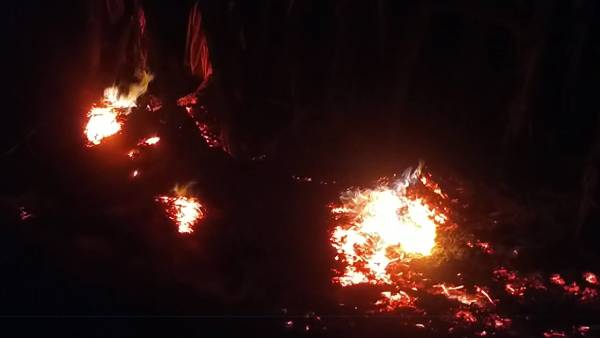 ரூ.4 லட்சம் நஷ்டம் - விவசாயி கவலை 