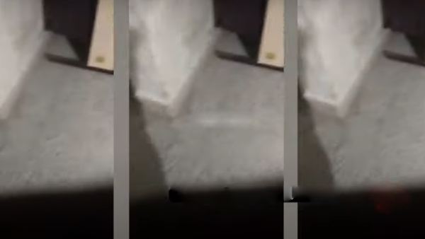 துறை ரீதியான விசாரணை 