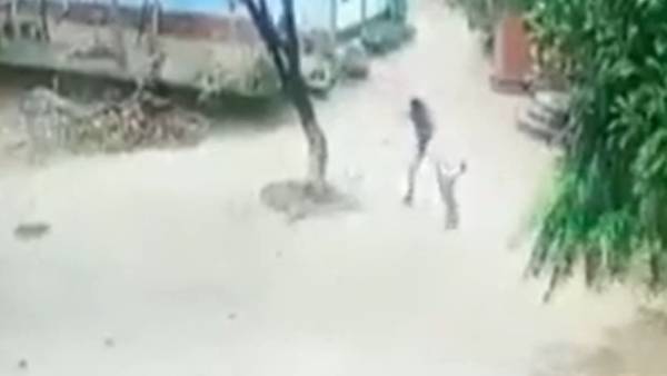  உத்தரப் பிரதேசம்