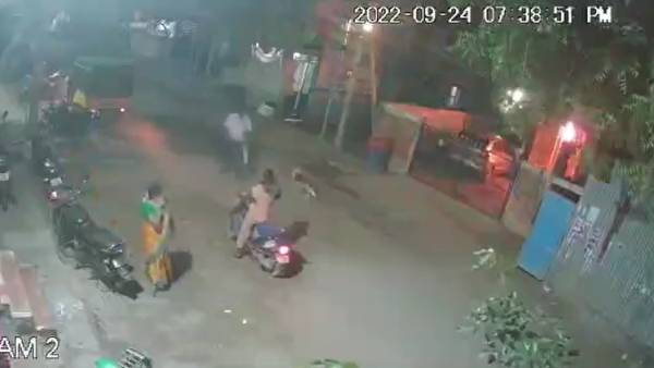 மதுரையில் பெட்ரோல் குண்டுகள் வீச்சு 