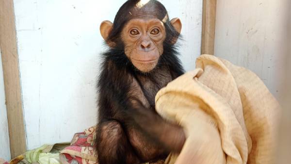 சட்டப்படி மீட்க உள்ளோம் 