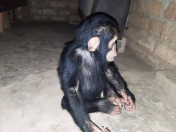 கடத்தல் சம்பவம் 