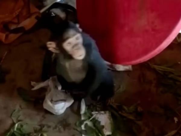 வரலாற்றில் முதல்முறை 