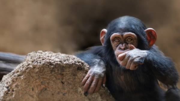 பணம் கேட்டு மிரட்டல் 