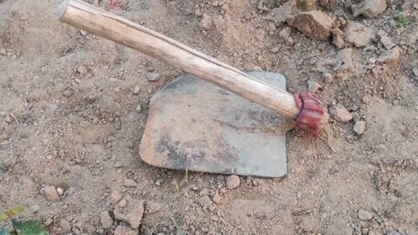 விசாரணை 