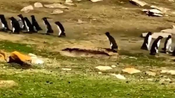 சீரியஸ் மீட்டிங்.. சீரியஸ் மீட்டிங்..