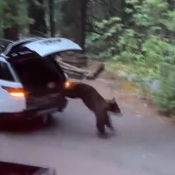  சொல் பேச்சை கேட்கவில்லை.. 