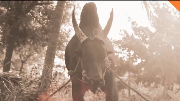 மீண்டும் அதே இயக்குனருக்கு வாய்ப்பு