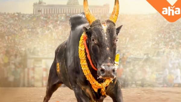 சந்தோஷ் நாராயணன்