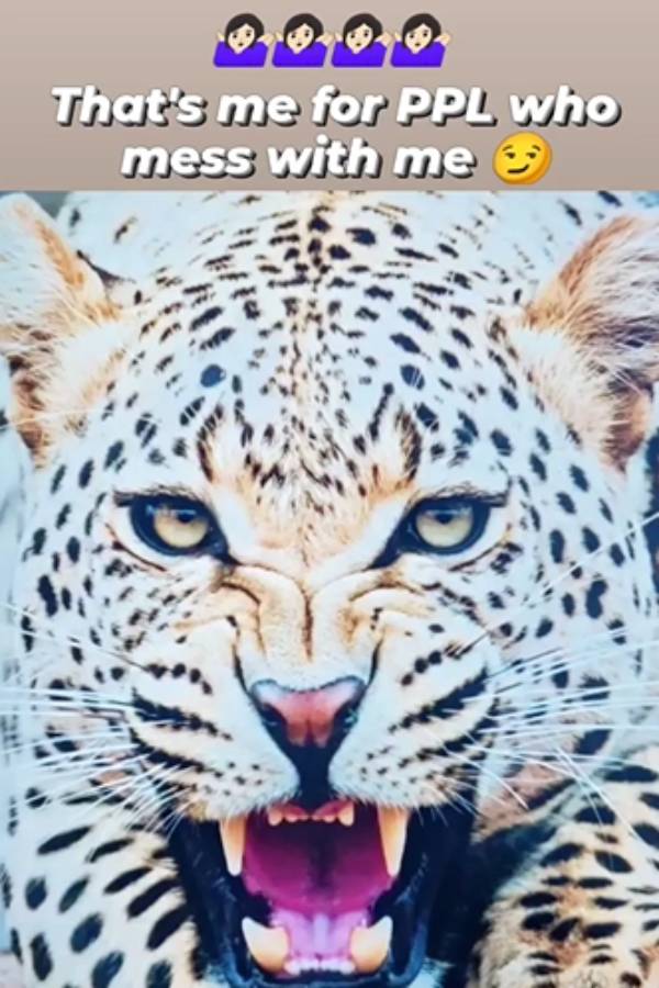 இன்ஸ்டாகிராமில் ஸ்டோரி 