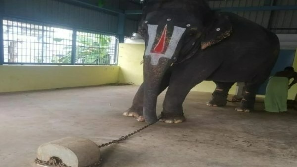 அனுப்பப்போவது இல்லை என அரசு உறுதி 