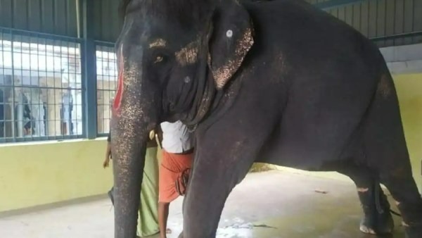 பொதுநல வழக்கு 