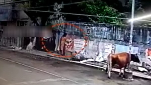 சிசிடிவியில் பதிவான பெண் 