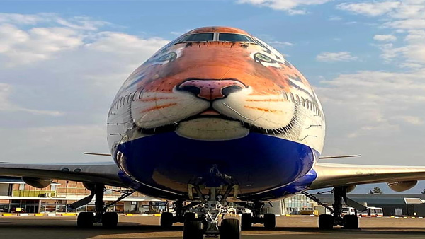 புலி முகம் போல் விமானம் 