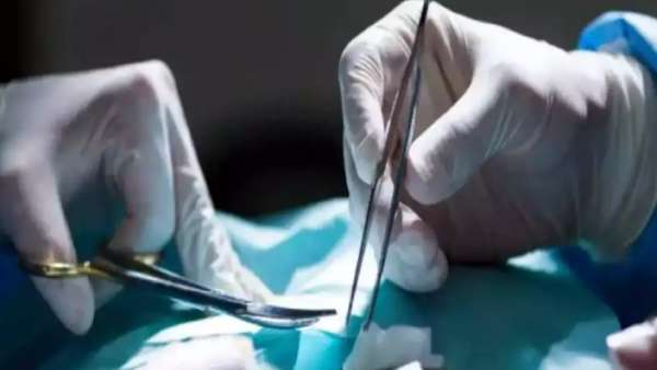  மர்ம உறுப்பு