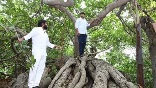  பார்வையிட்டார் 