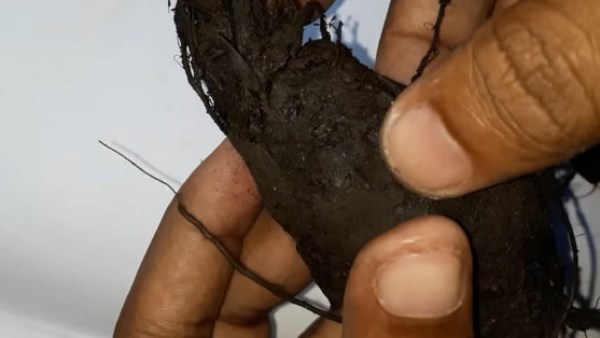 போர்க்களமான வீடுகள் 