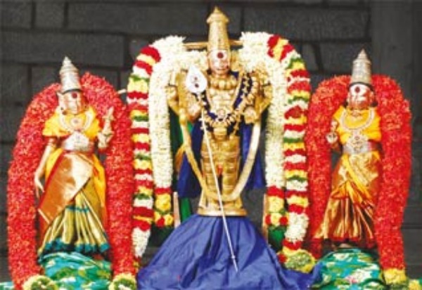 சூரசம்ஹாரத்திருவிழா 