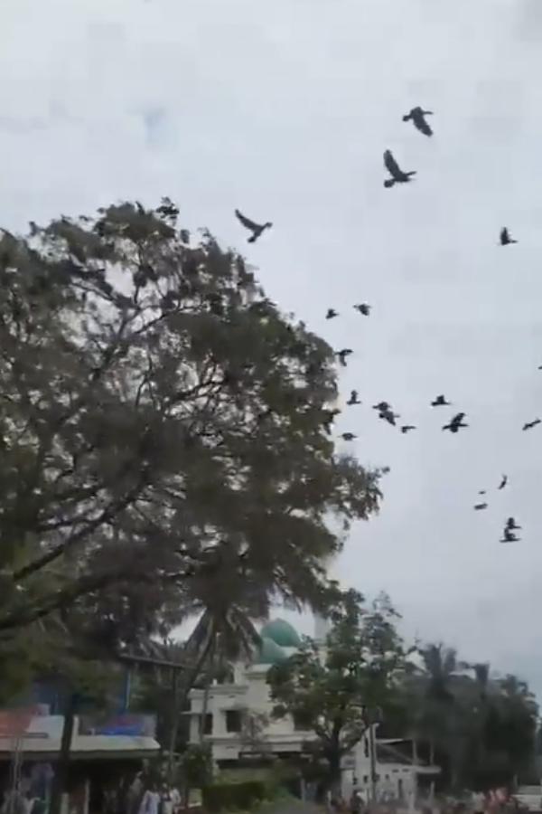 சாலை அமைக்கும் பணி சாலை அமைக்கும் பணி