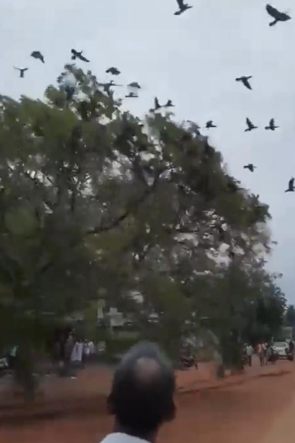 நடவடிக்கை நடவடிக்கை