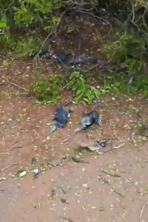 வெளியான வீடியோ வெளியான வீடியோ