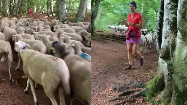 நெட்டிசன்கள் கருத்து 