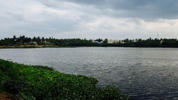 குடியிருப்புகள் அகற்றம் குடியிருப்புகள் அகற்றம்