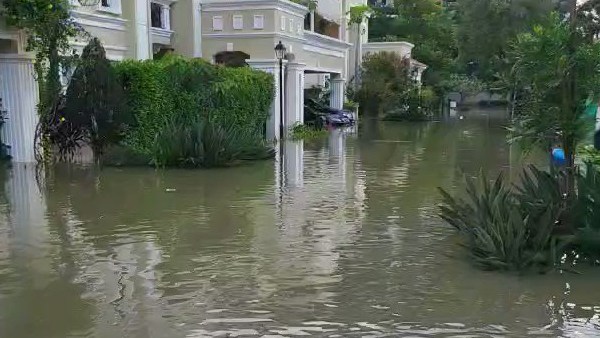 ரூ.250 கோடி இழப்பு 