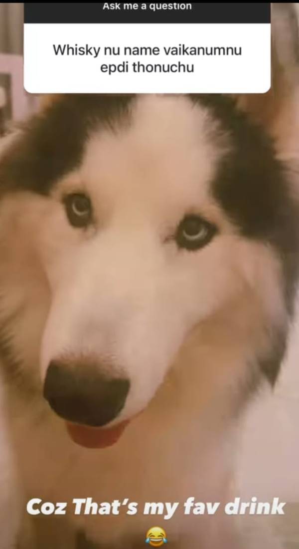 அடிக்கடி நடக்கும் வார்த்தை மோதல்கள்