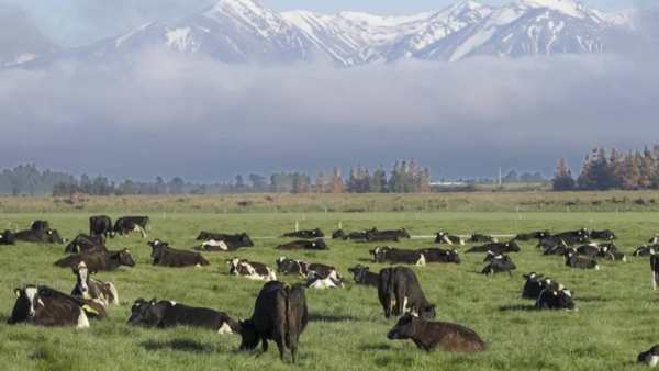 விவசாயிகள் எதிர்ப்பு 