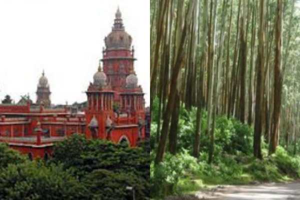  அரசு அறிக்கை