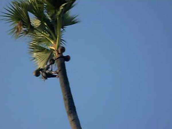 எப்படி விண்ணபிக்கலாம்