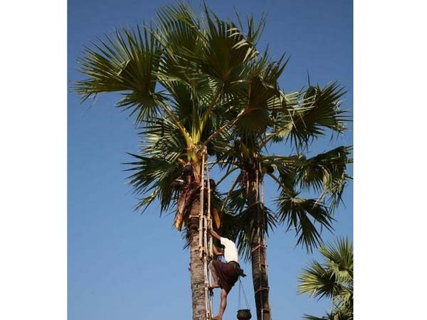 ரூ.2 கோடி நிதி ஒதுக்கீடு