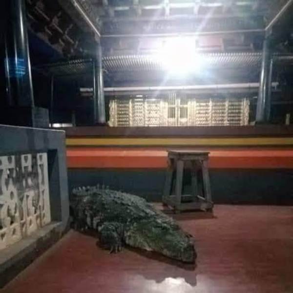 மக்கள் மனங்கள் 