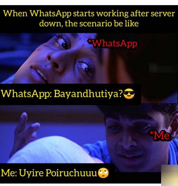 Funny memes collection on whatsapp down