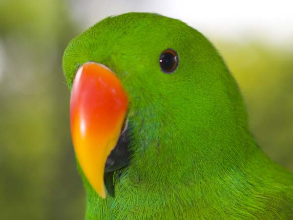 5 செகண்ட் மட்டுமே டைம் 5 செகண்ட் மட்டுமே டைம்