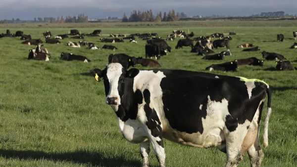 பிரச்சனையாக மாறுமா? 