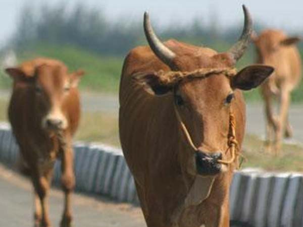 கருத்து 