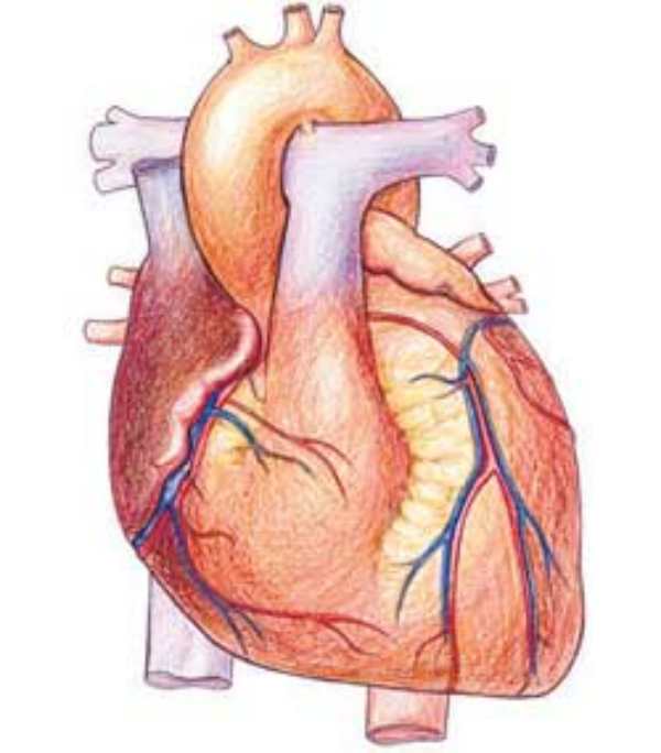 இதய அடைப்பு 