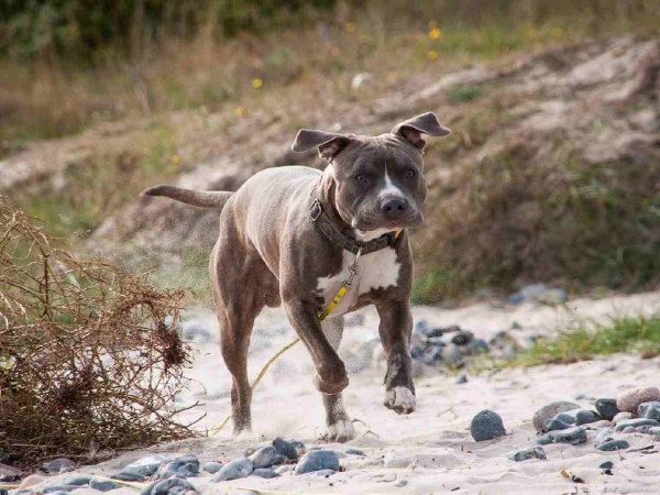 தூங்கி கொண்டிருந்தவர்களையும்..