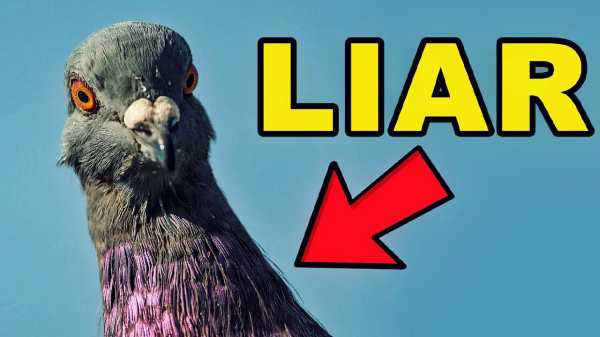 குழு உருவாக்கப்பட்டது எப்படி? 