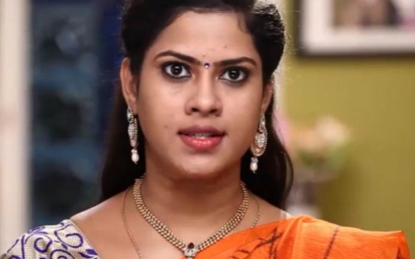 சீரியல் வில்லி