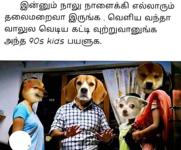 Funny memes collection on Diwali crackers