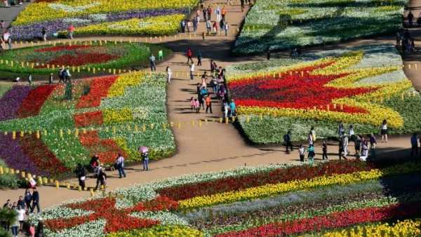 Religious Harmony Flower Rally held in delhi Religious Harmony Flower Rally held in delhi